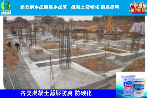 三門峽盧氏防碳化防腐漿料在房屋修繕中的應(yīng)用與價值